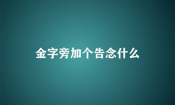 金字旁加个告念什么