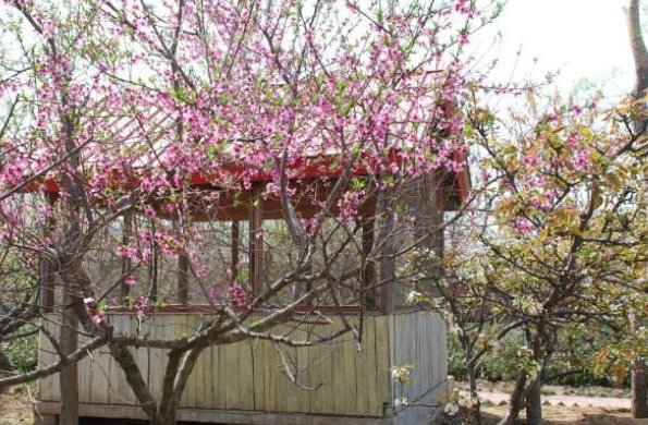 缩句练习及答案(史无前例)