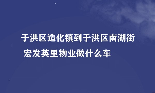 于洪区造化镇到于洪区南湖街 宏发英里物业做什么车