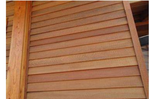 雪松木材是什么颜色