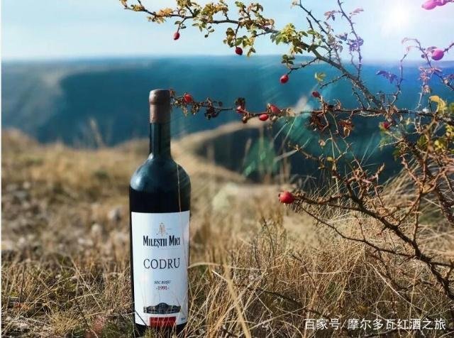 红酒的酒庄有哪些？