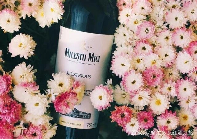 红酒的酒庄有哪些？