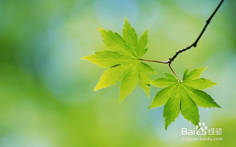 怎样才能更好的保护眼睛？