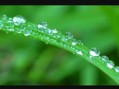 “露珠湿沙壁，暮幽晓寂寂”出自那首诗？