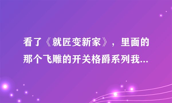 看了《就匠变新家》，里面的那个飞雕的开关格爵系列我很喜欢，有人用吗？不知道品质咋样？