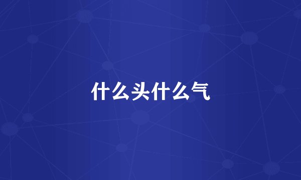 什么头什么气