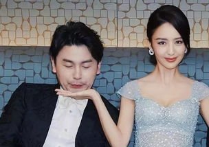 雷佳音说佟丽娅是他女神，他们两人有过哪些合作？