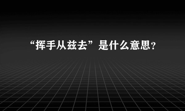 “挥手从兹去”是什么意思？