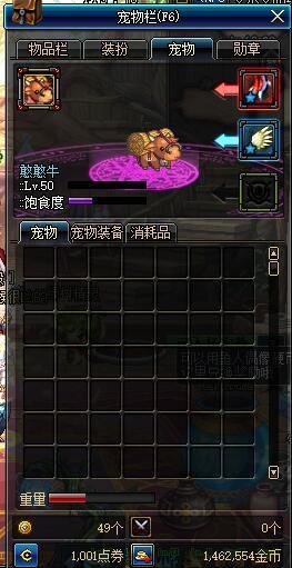 dnf宠物封印胶囊怎么得