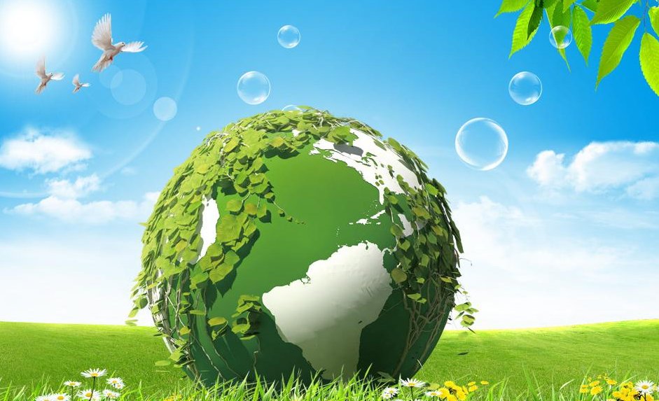 政治小论文300字