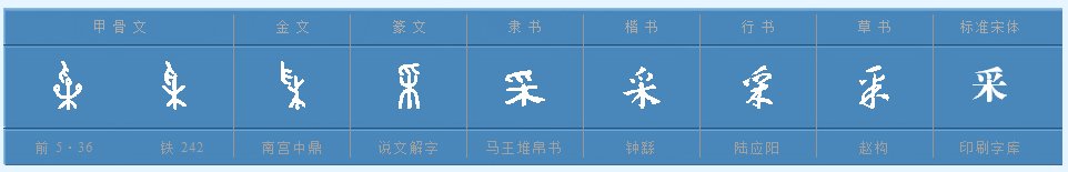 采集的采怎么组词