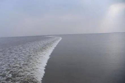 为什么海宁盐官镇是观潮的最好地方