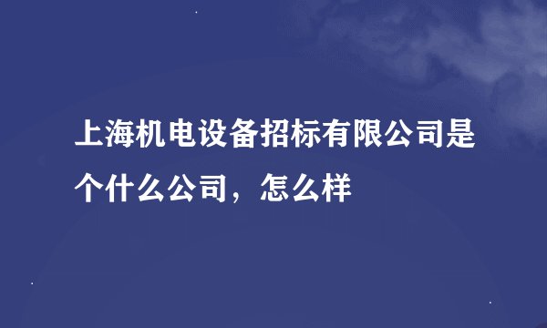 上海机电设备招标有限公司是个什么公司，怎么样