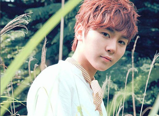 Seventeen韩团中每个成员的详细资料