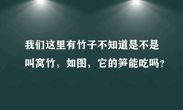 我们这里有竹子不知道是不是叫窝竹，如图，它的笋能吃吗？