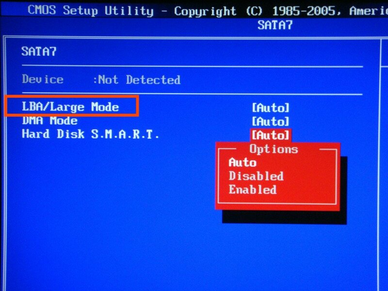 type是什么意思？