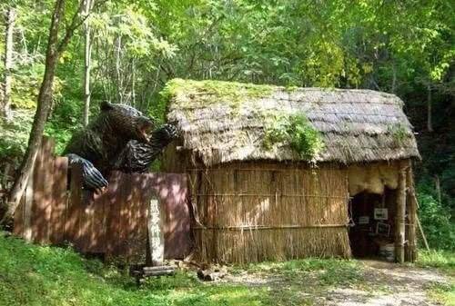 棕熊咬死牧民被击毙，可怕！为何说没有三毛别罴事件吓人？