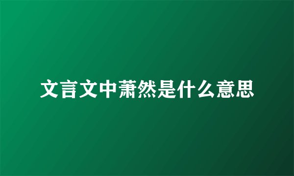 文言文中萧然是什么意思