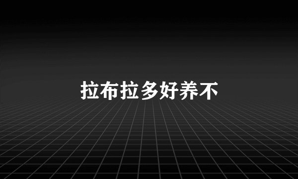 拉布拉多好养不