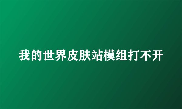 我的世界皮肤站模组打不开