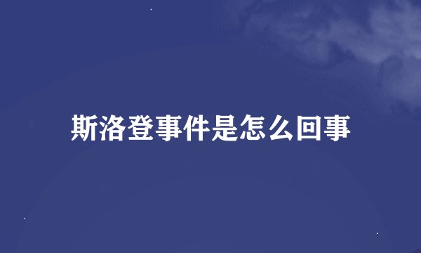 斯洛登事件是怎么回事