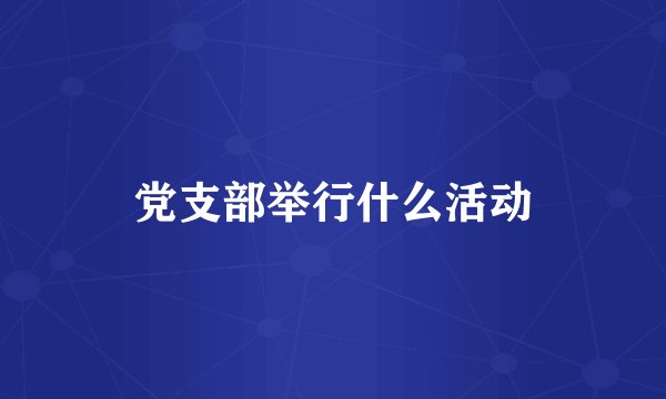 党支部举行什么活动