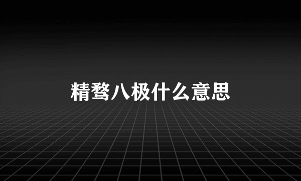 精骛八极什么意思