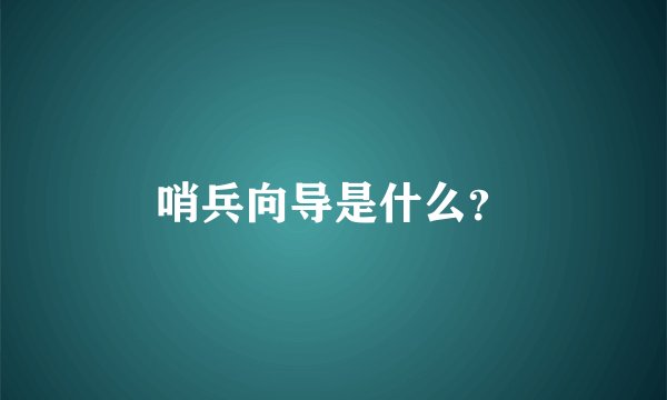 哨兵向导是什么？