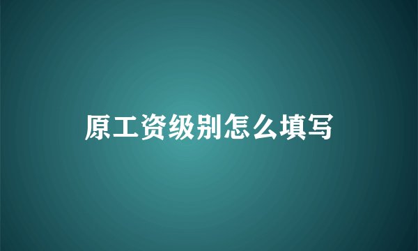 原工资级别怎么填写