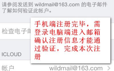 请输入有效的电子邮件地址作为您的Appleld