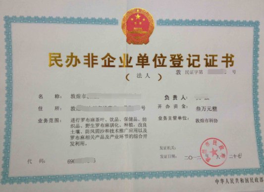 民办非企业单位适用什么会计制度