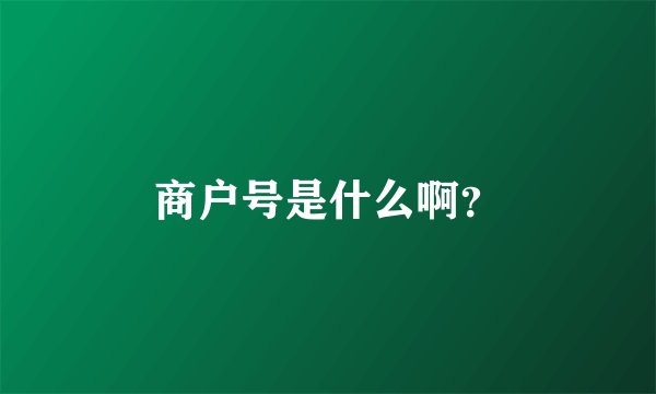 商户号是什么啊？
