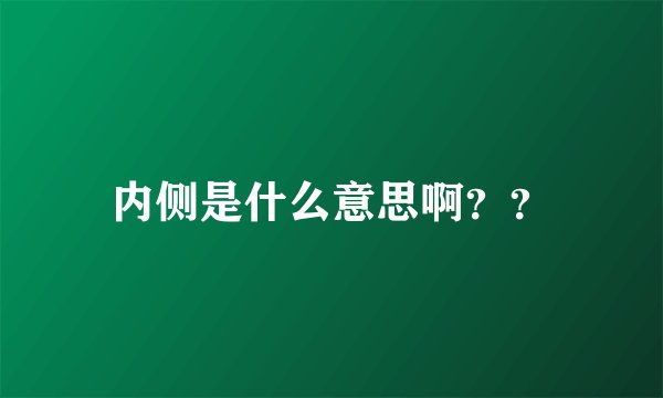 内侧是什么意思啊？？