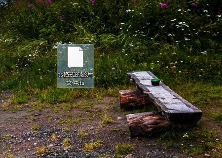 ts格式的影片~ 用什么播放器播放啊