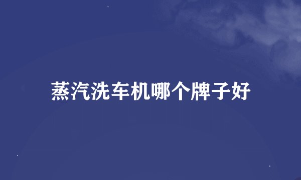 蒸汽洗车机哪个牌子好
