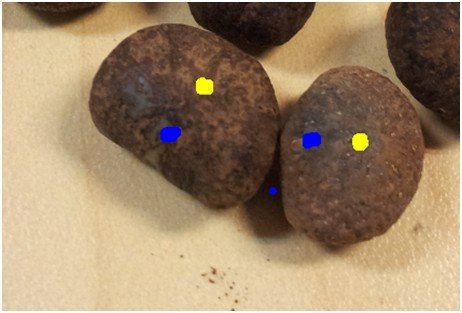 怎样打磨菩提子