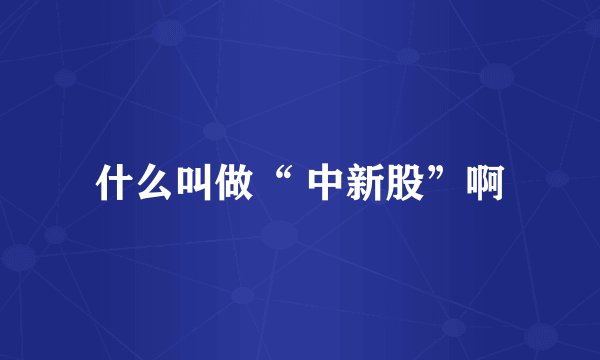 什么叫做“ 中新股”啊
