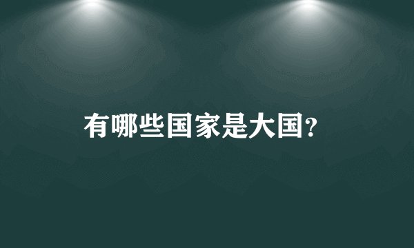 有哪些国家是大国？