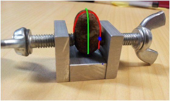 怎样打磨菩提子