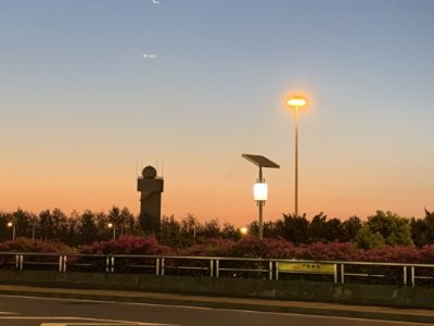 我对团的认识500字左右