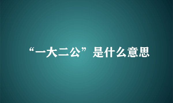 “一大二公”是什么意思