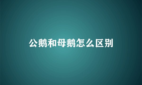 公鹅和母鹅怎么区别