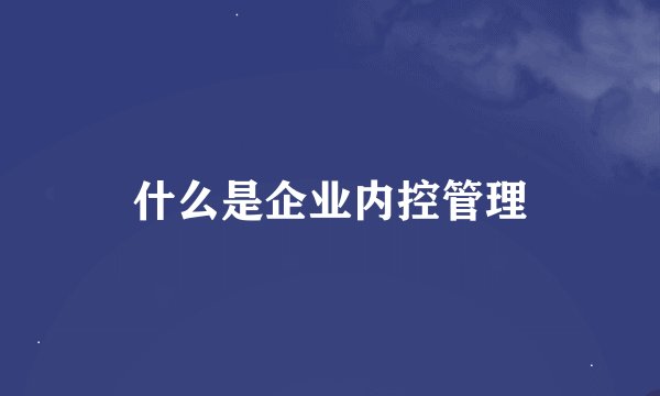什么是企业内控管理