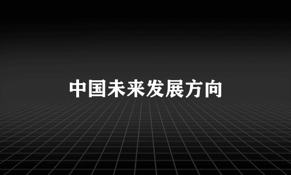 中国未来发展方向