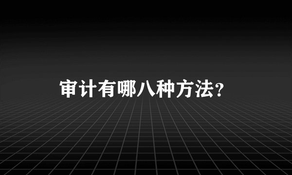 审计有哪八种方法？