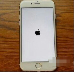 苹果6S白屏 开不了机 怎么解决？