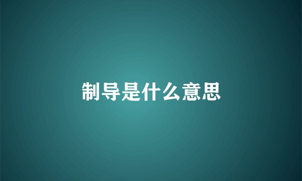制导是什么意思