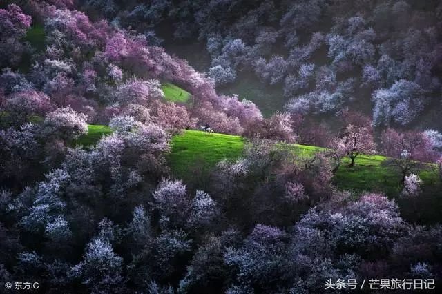 三四月份，国内哪些地方适合出去旅游？