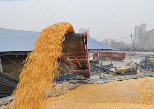 中国粮食进口占百分之多少?