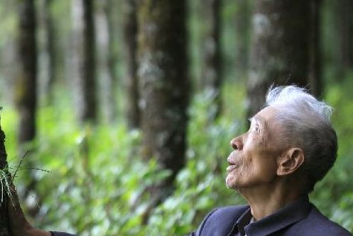 给感动中国十大人物之~杨善洲，写段颁奖词